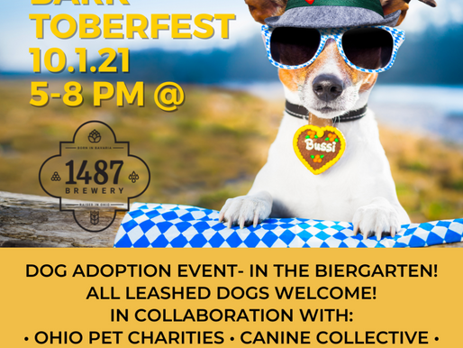 Barktoberfest at 1487 Brewery
