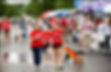 Volunteers and event attendees at an Ohio Pet Charities event