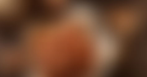 Nouveaux contrats œufs