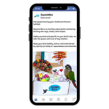 Copy of Squawk Box FB Ad - Spec (Instagram Post).png