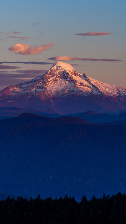 Mt. Hood