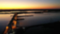 DJI_0208-scaled.jpg