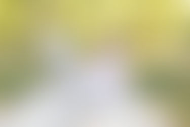 une jolie famille en balade au bord du canal du midi