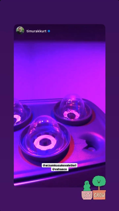 vahaa seedling light