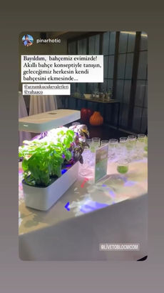 vahaa influencer