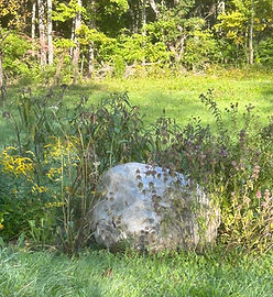 441 Warrenville Road