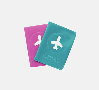 Covers de passaporte