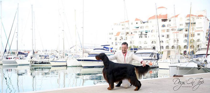 NEW GIBRALTAR CHAMPION