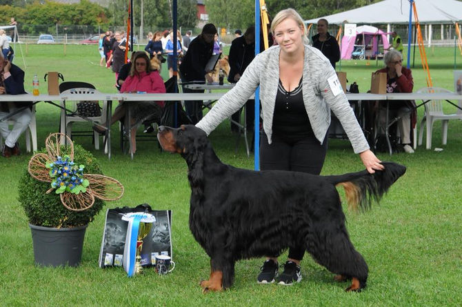 Helsinki all breed show