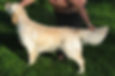 ONNI