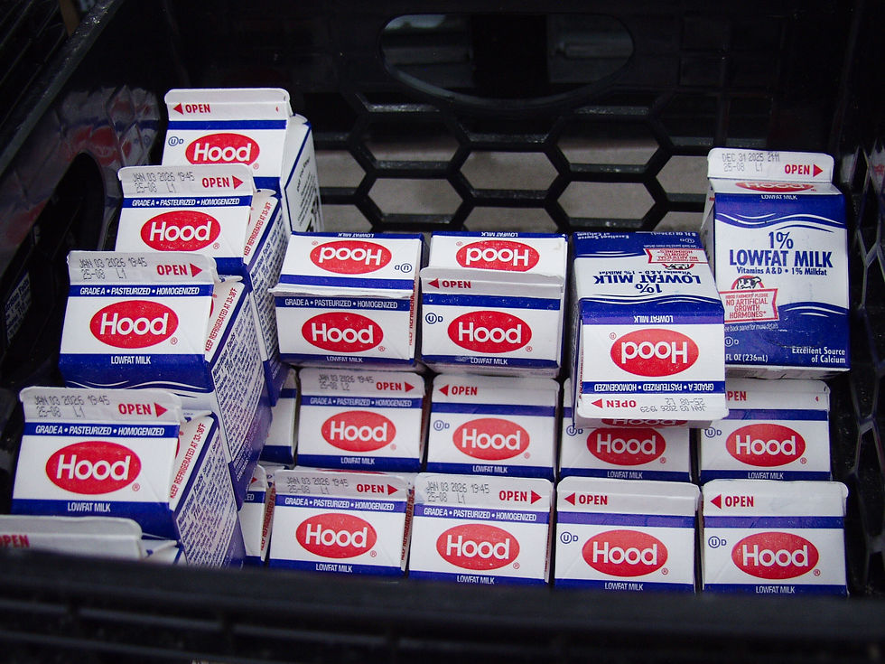 HEALING WITH HOOD: Heal the Hood gives out food and milk at its Jamaica Plain location. Photo by Adam Smith