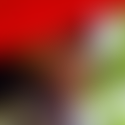 Julia Schanker of the film 'Flying Lessons.'