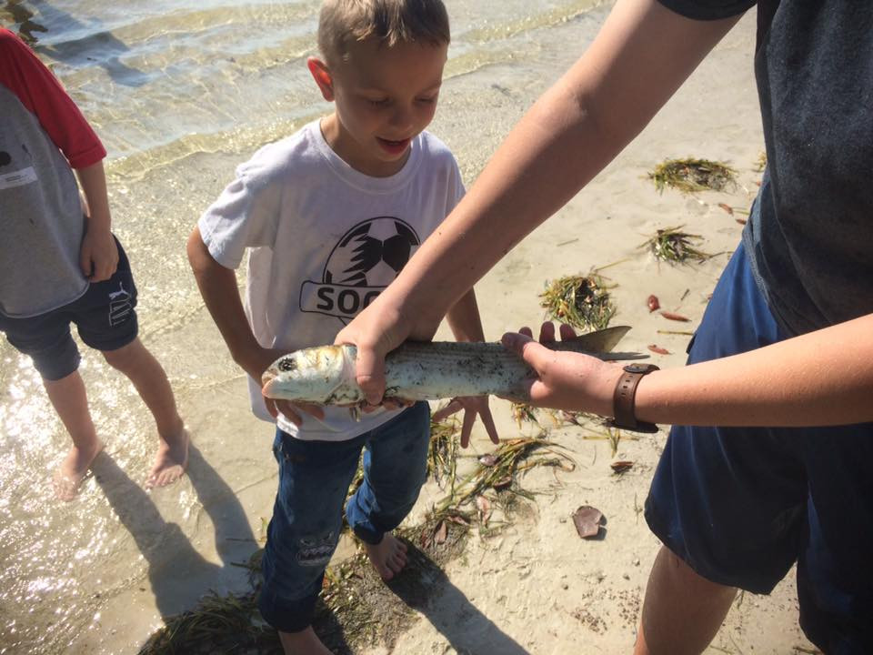 Home Coyote Outdoor Adventures