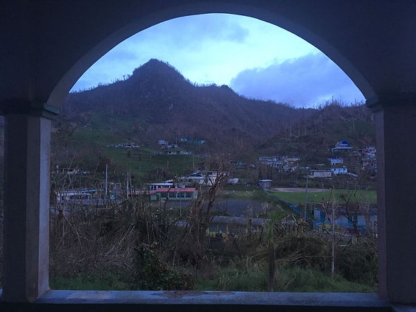 “Vista desde mi Granja en Puerto Rico” Crédito de Imagen: Tara Rodríguez Besosa