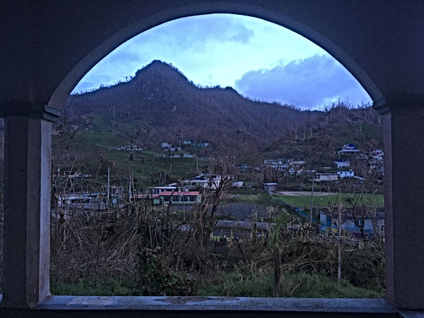 “Vista desde mi Granja en Puerto Rico” Crédito de Imagen: Tara Rodríguez Besosa