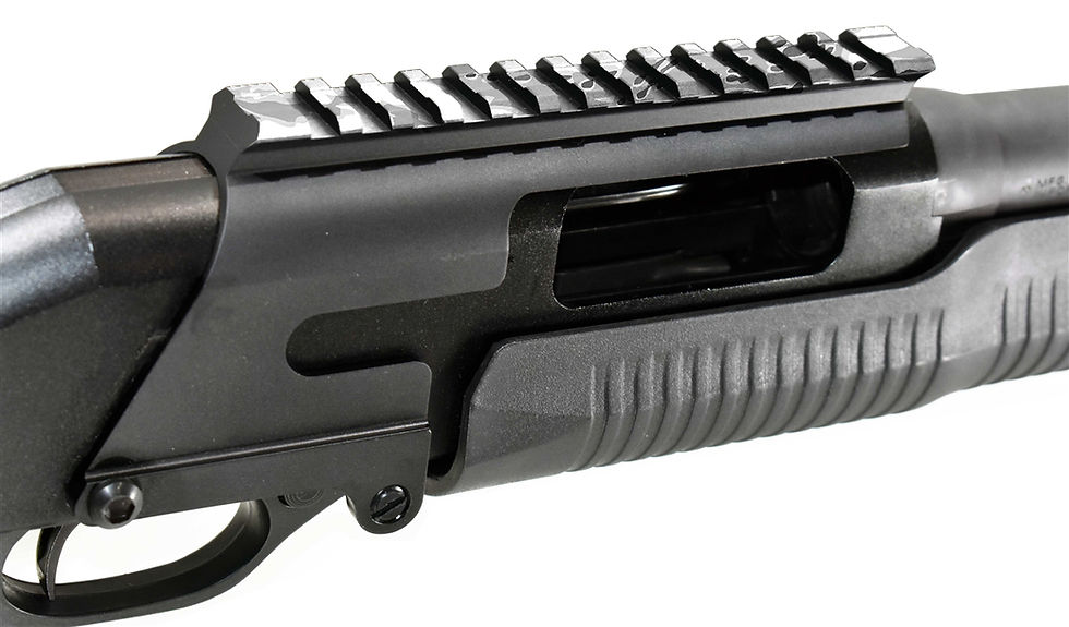 Miniature : TIGRA-5 RAIL SKINS