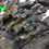 Miniatura: Camo Roll Skin Gear Gun & Accessories Wrap Combat-10