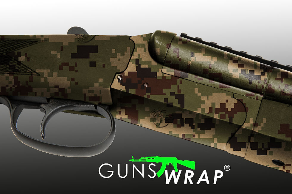 תמונה ממוזערת: SHOTGUN 2 BARRELS PIXEL-4