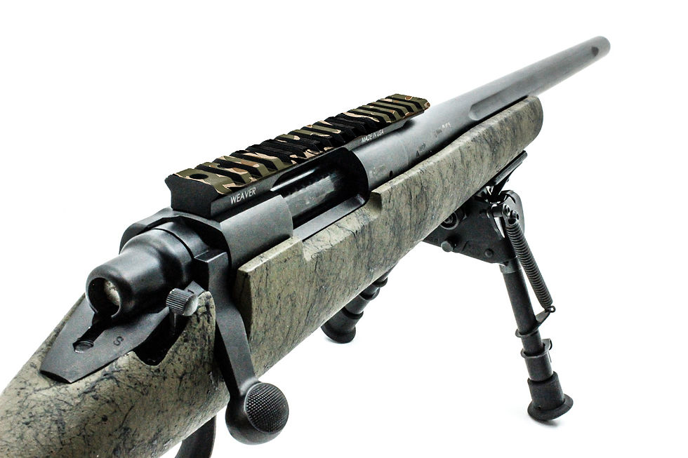 Sličica: TIGRA-1 RAIL SKINS