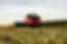 Hemp Farm w Tractor_small.JPG