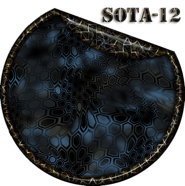 PISTOL GUN WRAP SKIN SOTA-12