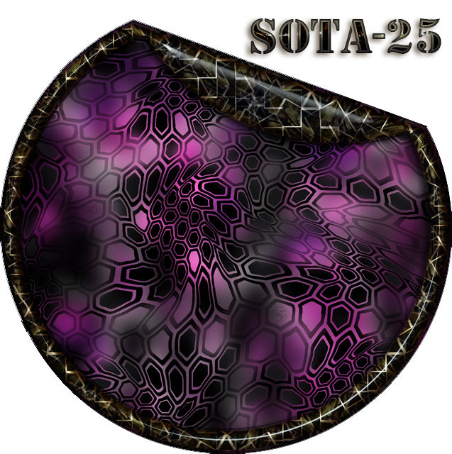 Camo Roll Skin Gear Gun & Accessories Wrap Sota-25