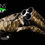 Miniatyrbild: SHOTGUN SPORT WRAP SKIN SNAKE-1