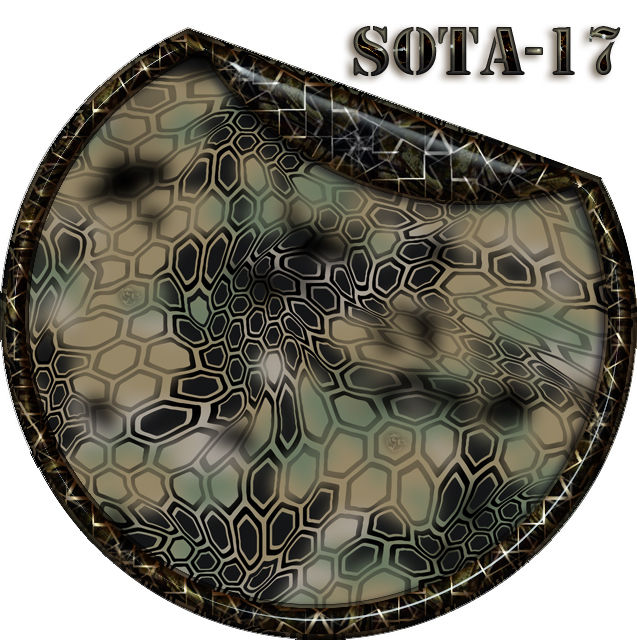 Rifle Gun Wrap Skin SOTA-17