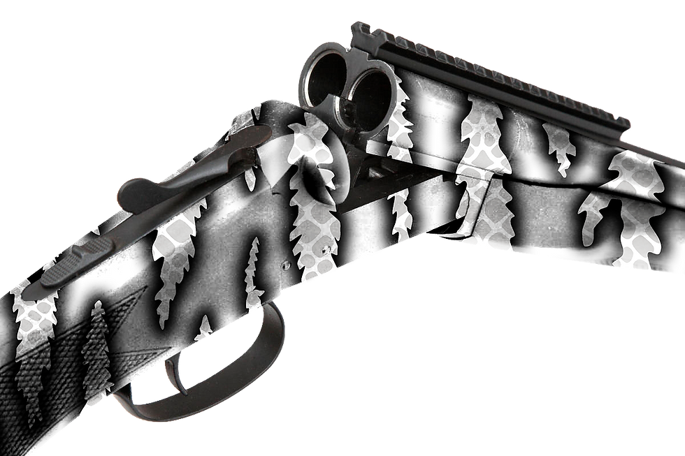 Thumbnail: SHOTGUN DOUBLE BARRELS PYTHON-2