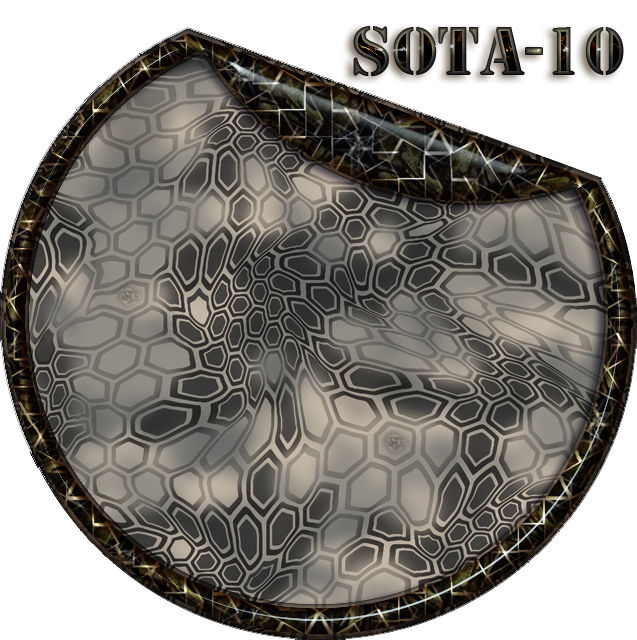 Camo Roll Skin Gear Gun & Accessories Wrap Sota-10