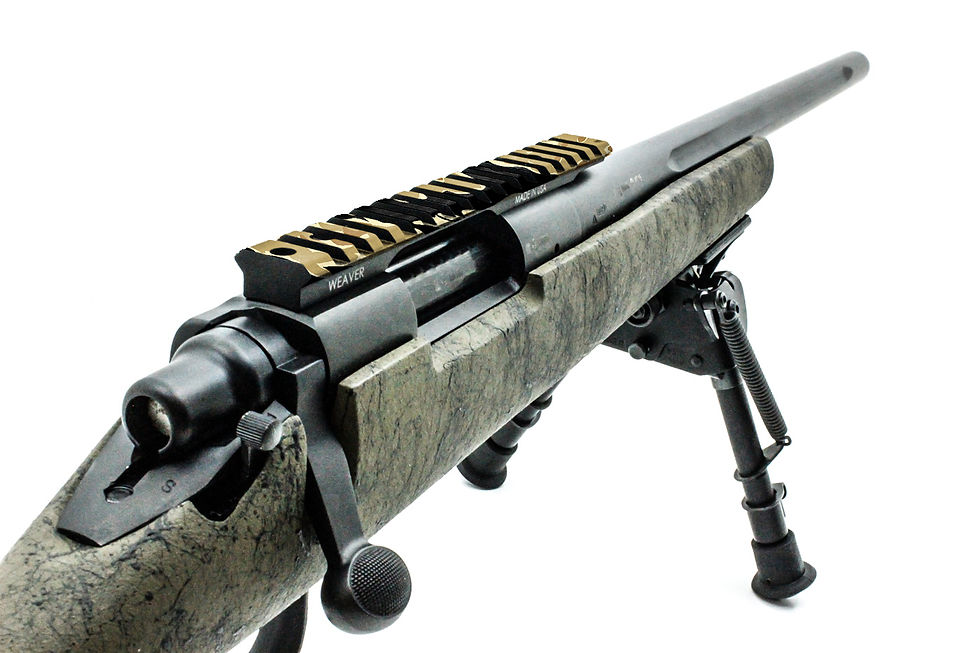 الصورة المصغرة: TIGRA-7 RAIL SKINS