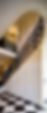 14188326_1052447894873630_51623935125426