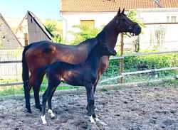 8620ea64-8162-45bd-8312-fe8ba67c8654