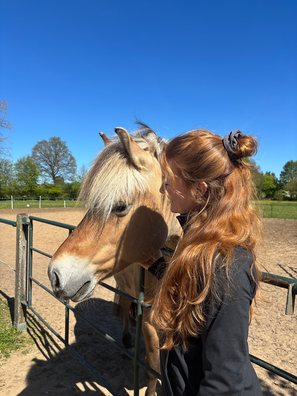 Unser liebes Pony auf dem Ponyhof Esingen in Tornesch bei Hamburg