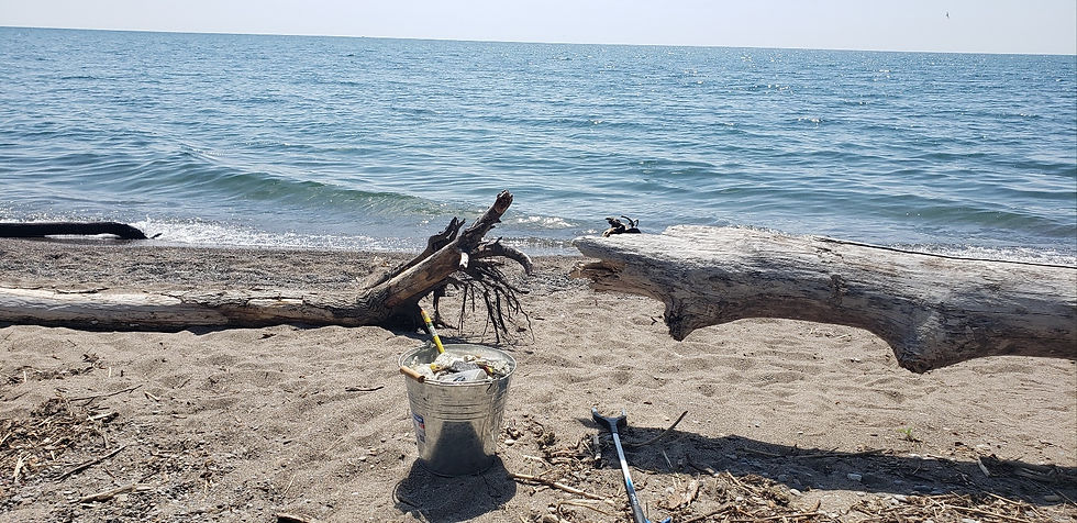 KakaoTalk_Photo_2025-03-13-21-39-22 002.jpeg