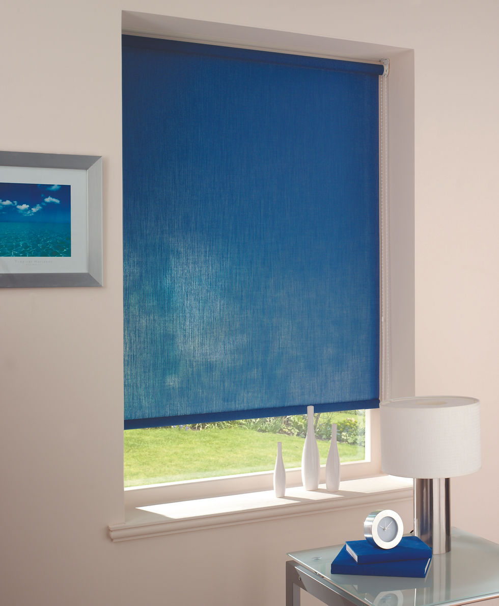 SCREENTEX_BLUE_1.jpg