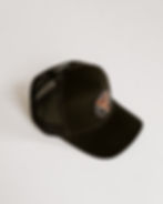 Thumbnail: The fox cap
