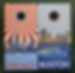 Cornhole Game-Chicago and Boston  Sunburst