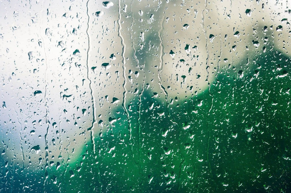 Rain on the Window: How to Combat the Effects of the Rainy Season