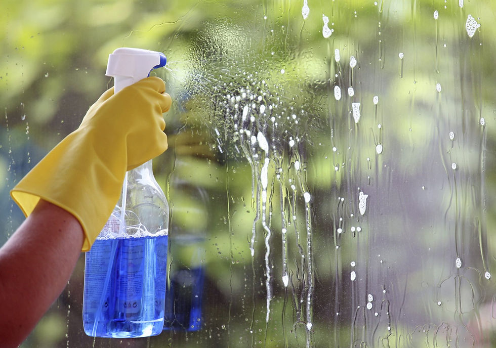 Seasonal Window Care Guide: Maintaining Windows Year-Round