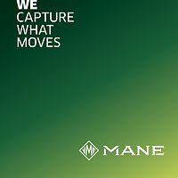 logotipo mane.jpg