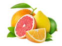Asset 74_300x.png