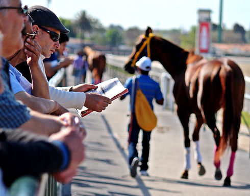 Gulfstream Park Racing
