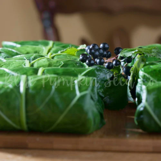 Thumbnail: Cabbage rolls made with All Seasons Cabbage.