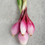 Miniatura: Brightly colored Red Apache onions on a marble counter top.