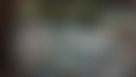 Scoot, fam trip at Boeing factory in Seattle!✈️