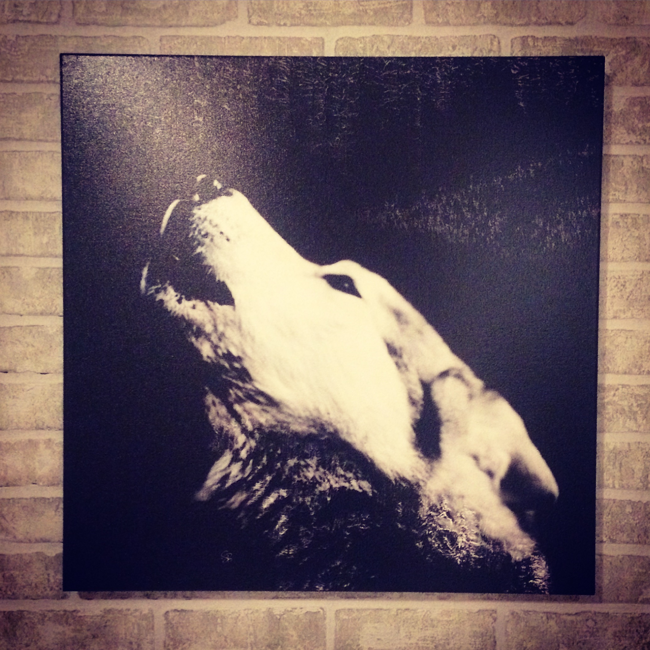 Howl at Midnight