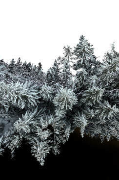 Winterland