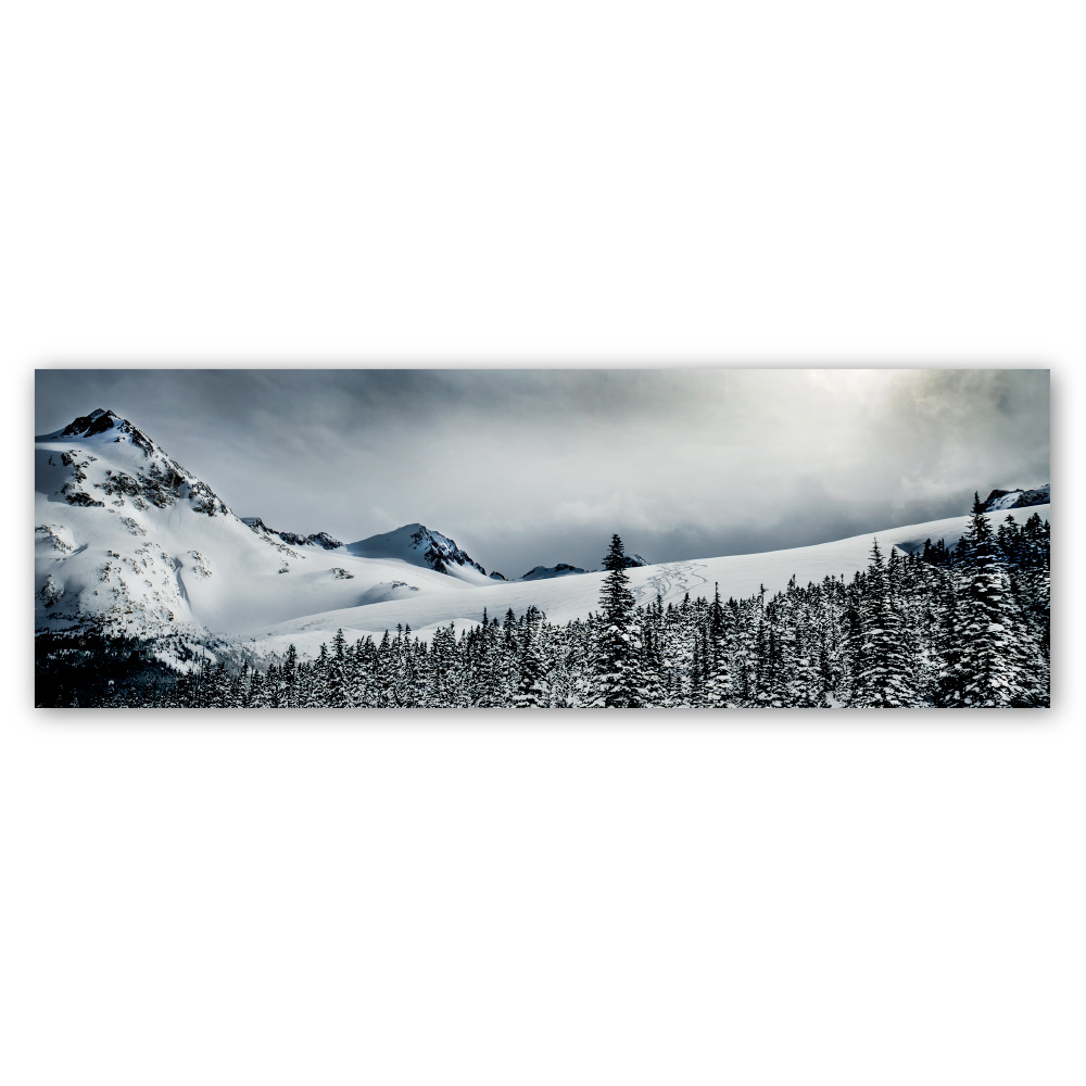 Beyond the Treeline