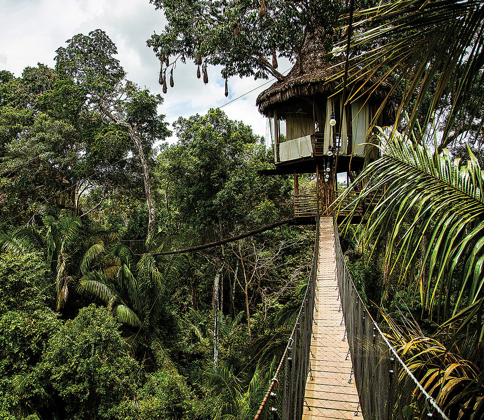AmazonPeru_08_0914